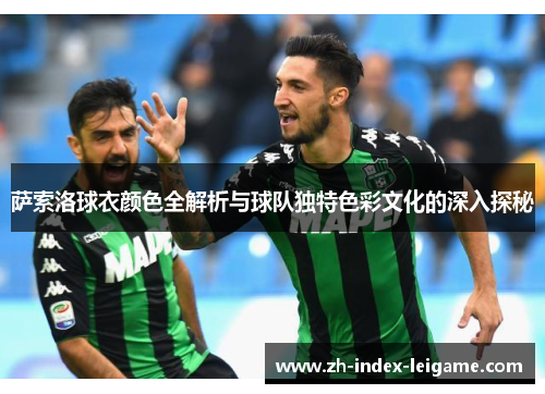 萨索洛球衣颜色全解析与球队独特色彩文化的深入探秘