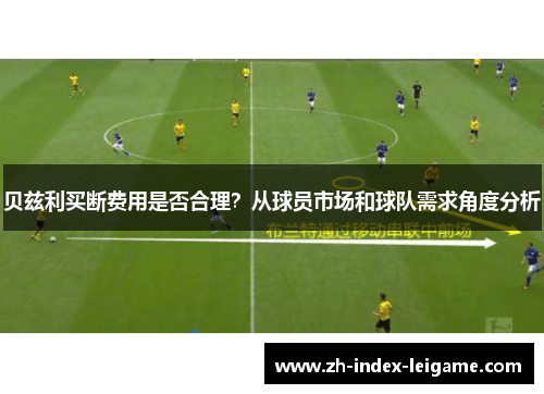 贝兹利买断费用是否合理？从球员市场和球队需求角度分析