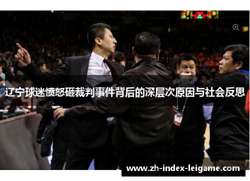辽宁球迷愤怒砸裁判事件背后的深层次原因与社会反思 辽宁球迷愤怒砸裁判事件背后的深层次原因与社会反思